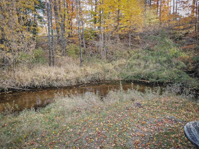 view of landscape