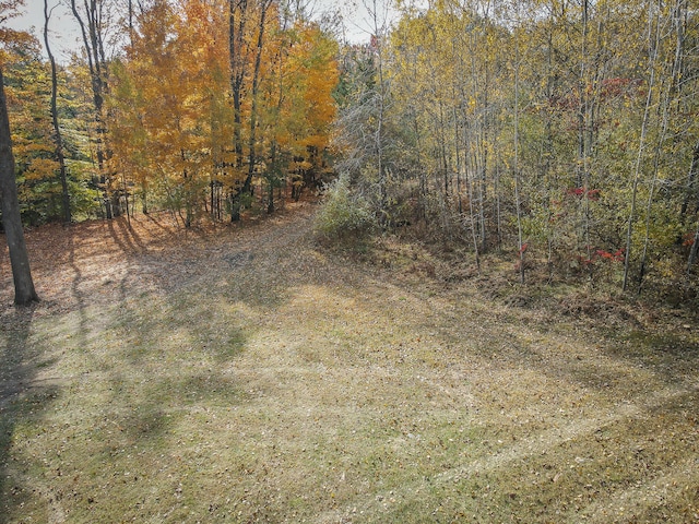 view of local wilderness