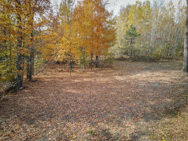 view of local wilderness