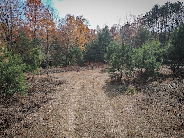 view of local wilderness