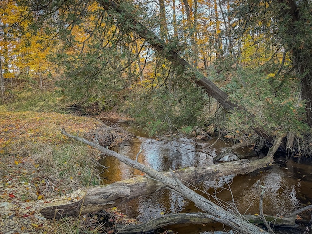 view of nature