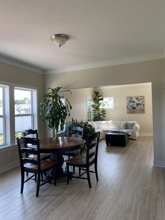 dining area featuring light hardwood / wood-style flooring