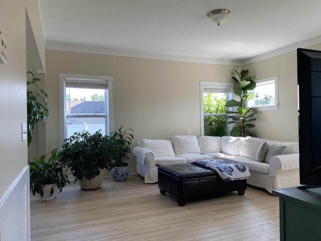 living room with light hardwood / wood-style flooring, ornamental molding, and plenty of natural light