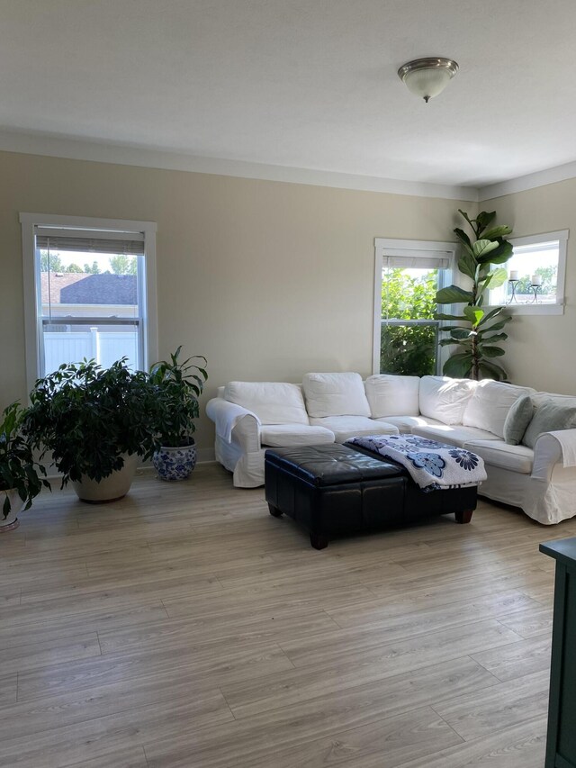 living room featuring light hardwood / wood-style floors