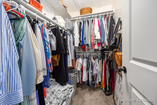 walk in closet with carpet