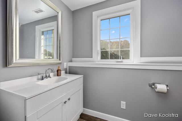 bathroom with hardwood / wood-style flooring and vanity