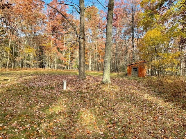 view of yard featuring a storage shed