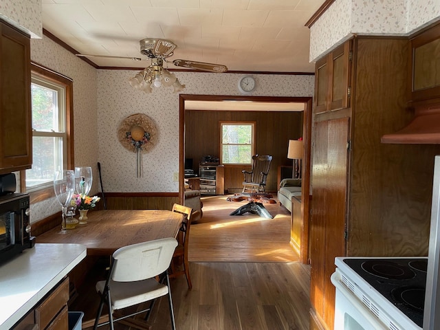 kitchen with ceiling fan, ornamental molding, dark hardwood / wood-style flooring, and wooden walls