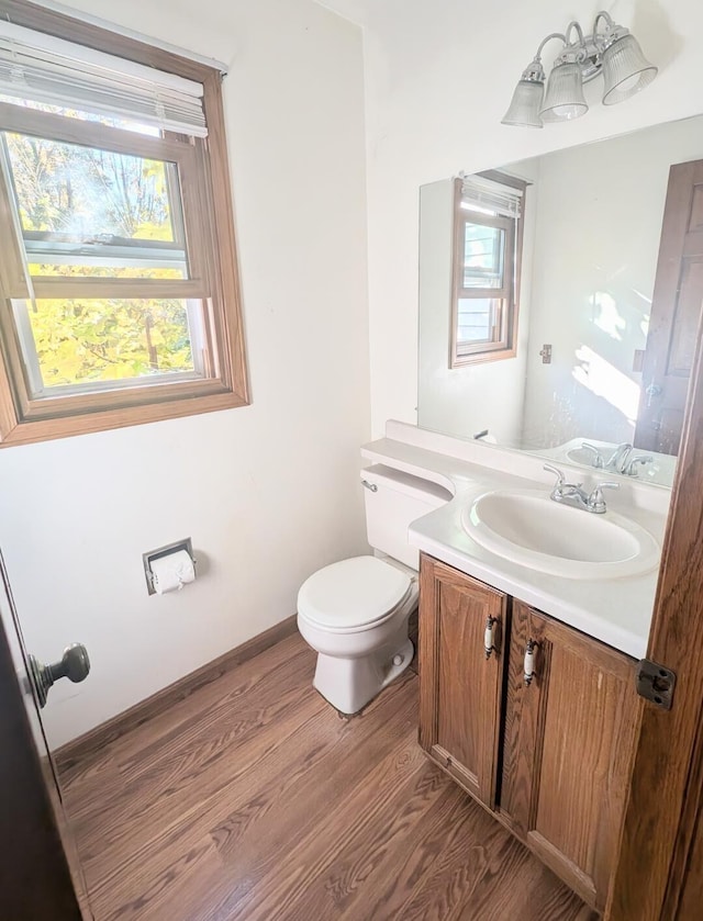 bathroom featuring vanity, toilet, and wood-type flooring