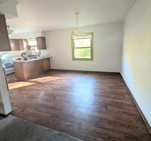 interior space with kitchen peninsula, a notable chandelier, dark hardwood / wood-style floors, crown molding, and stainless steel range with gas cooktop