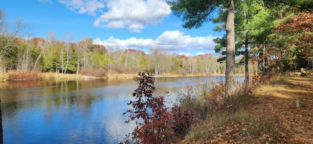 18160 Indian Village Rd, Big Rapids, MI 49307 - photo 2