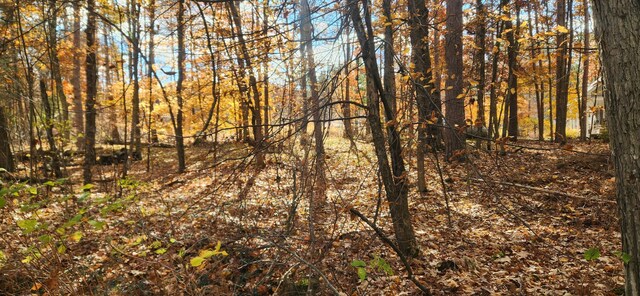 18160 Indian Village Rd, Big Rapids, MI 49307 - photo 4