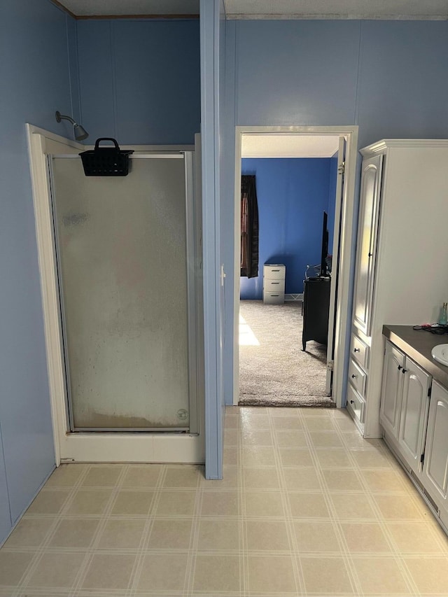 bathroom featuring vanity and walk in shower