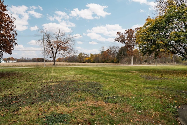 view of yard