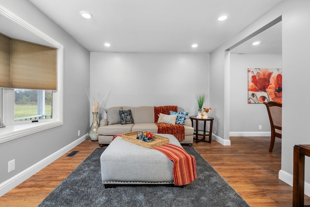 living room with hardwood / wood-style flooring