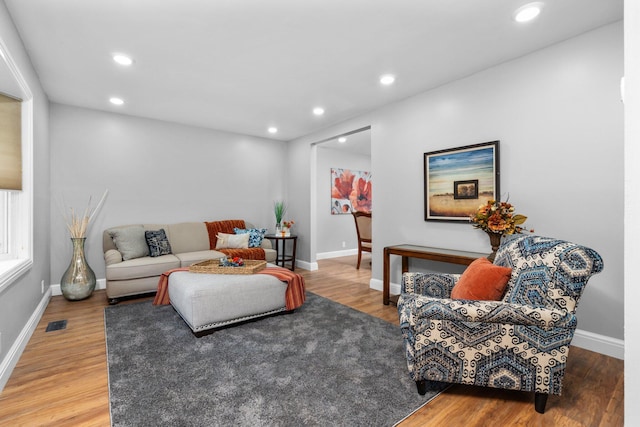 living room featuring wood-type flooring