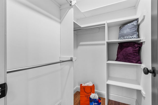 spacious closet with wood-type flooring