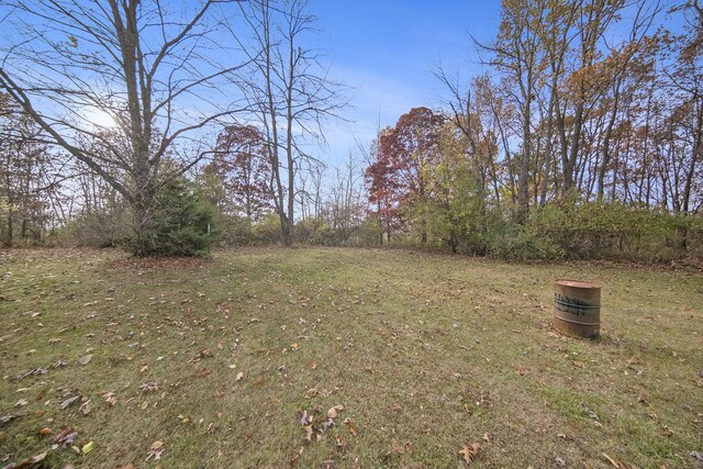 10376 Glencoe Rd, Jerome, MI 49249 - view of yard