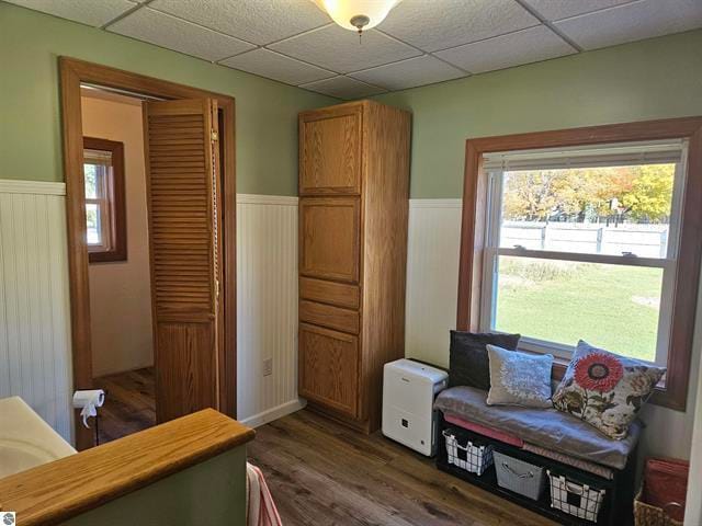 living area featuring a paneled ceiling, a healthy amount of sunlight, and dark wood-type flooring