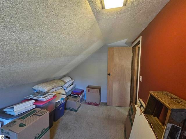 additional living space featuring a textured ceiling, lofted ceiling, and light colored carpet