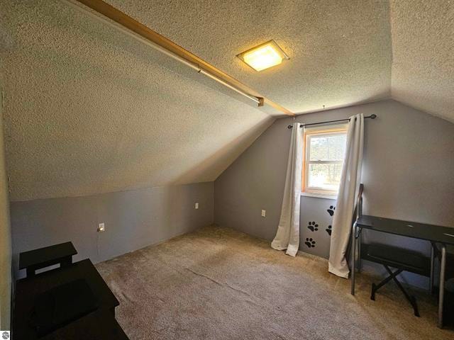 additional living space featuring a textured ceiling, carpet flooring, and vaulted ceiling