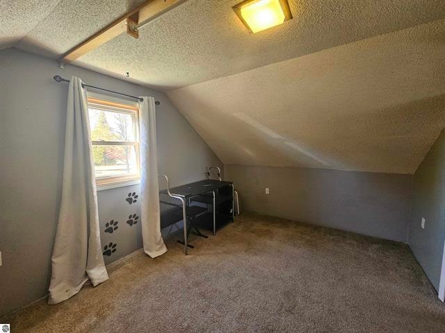 additional living space with lofted ceiling, carpet floors, and a textured ceiling