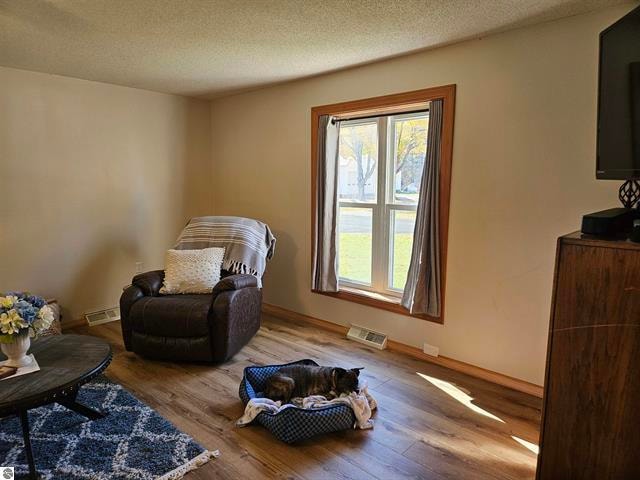 living area with a textured ceiling and wood-type flooring