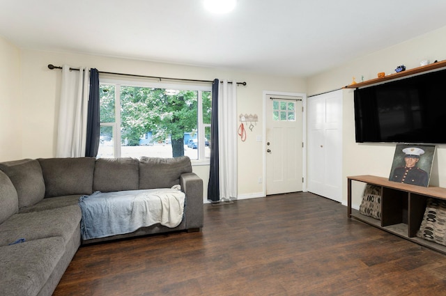 living room featuring dark wood-type flooring