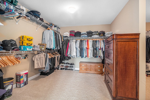 walk in closet featuring carpet flooring