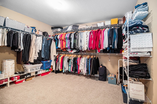 spacious closet featuring carpet floors