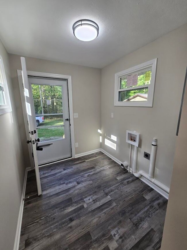 laundry area with a wealth of natural light, electric dryer hookup, and dark hardwood / wood-style floors