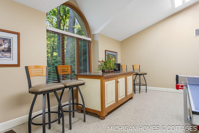 bar with vaulted ceiling