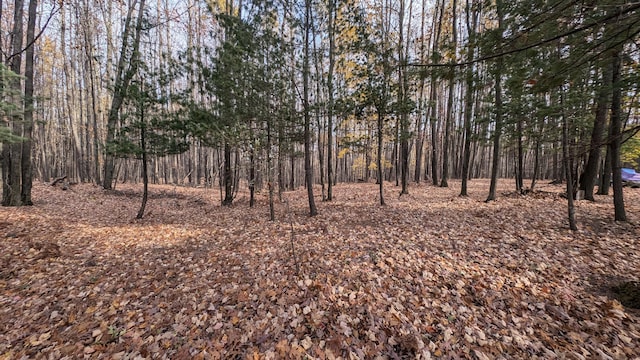 Listing photo 3 for V/L N Poplar Rd, Free Soil MI 49411