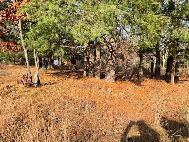V/L Spring St, Wellston, MI 49689