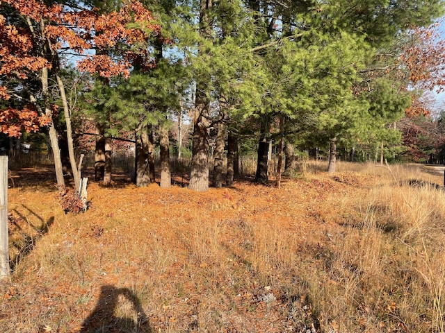 V/L Spring St, Wellston, MI 49689