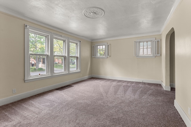 carpeted spare room with crown molding and a textured ceiling