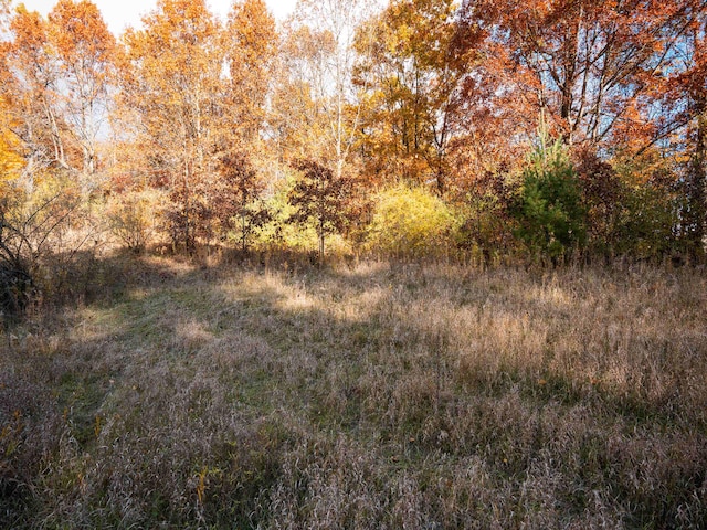 V/L20A 186th Ave, Hesperia, MI 49421 - photo 3
