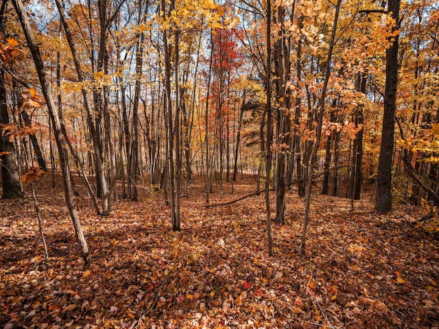 V/L20A 186th Ave, Hesperia, MI 49421 - photo 4