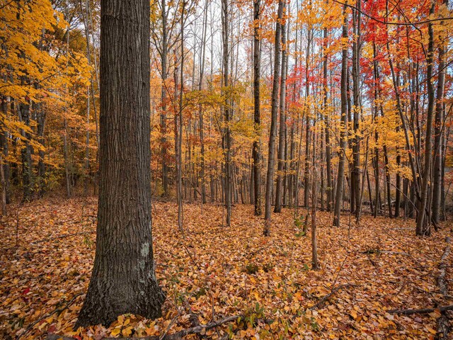 V/L20A 186th Ave, Hesperia, MI 49421 - photo 9