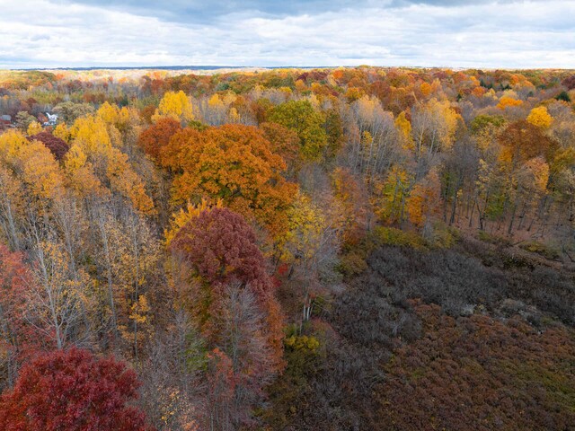 V/L20A 186th Ave, Hesperia, MI 49421 - photo 16