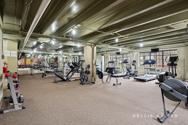 workout area featuring carpet floors