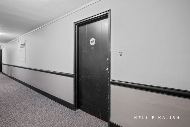 interior details featuring carpet floors