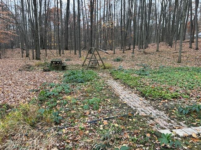 view of local wilderness