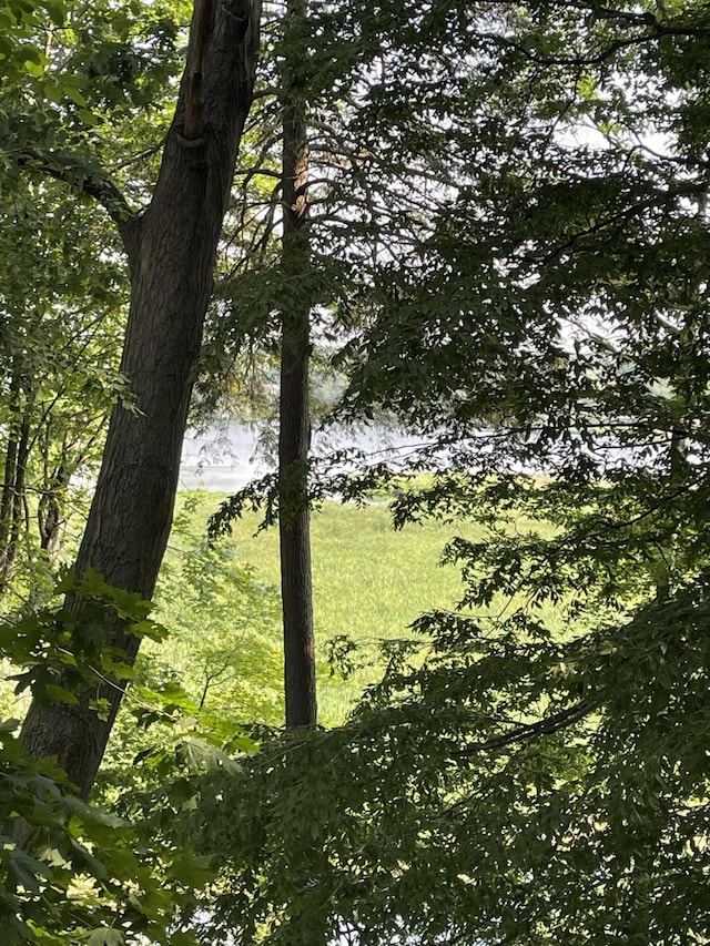 4102 Highgate Rd, Norton Shores, MI 49441 - view of undeveloped land