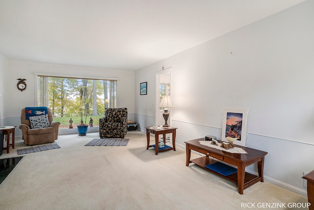 sitting room featuring light carpet