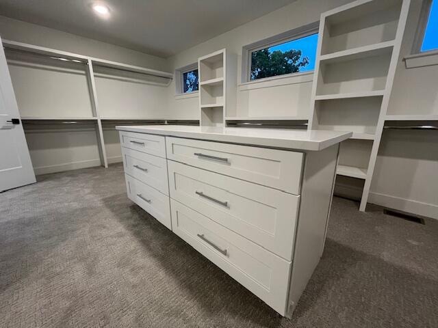 spacious closet with dark carpet