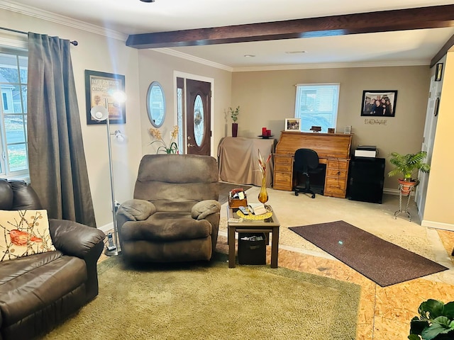 carpeted living room with beamed ceiling and ornamental molding