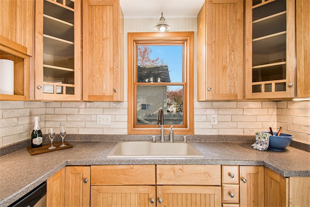 kitchen featuring backsplash, sink, and stainless steel dishwasher