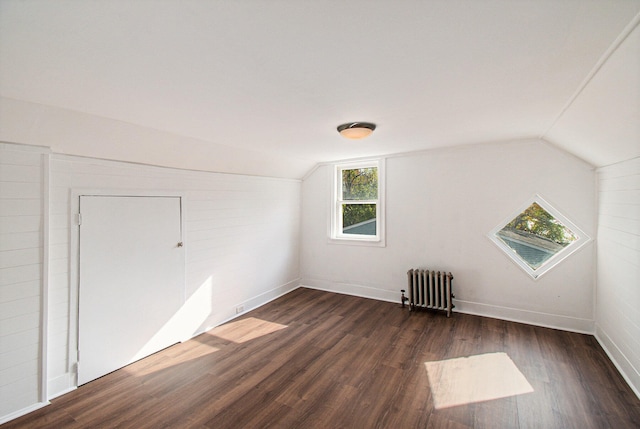 additional living space featuring lofted ceiling, dark hardwood / wood-style floors, and radiator