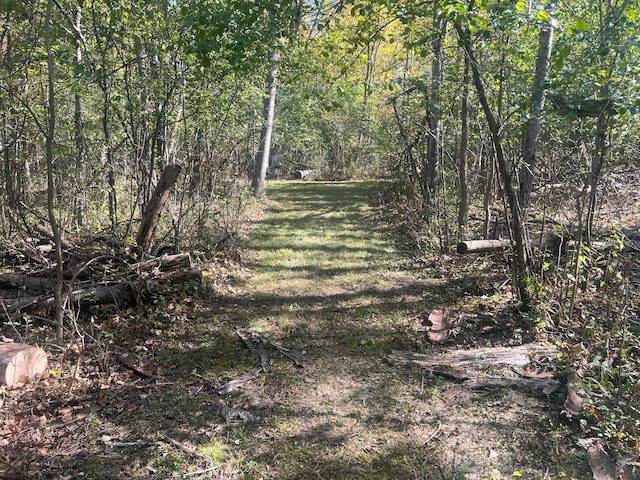 view of landscape